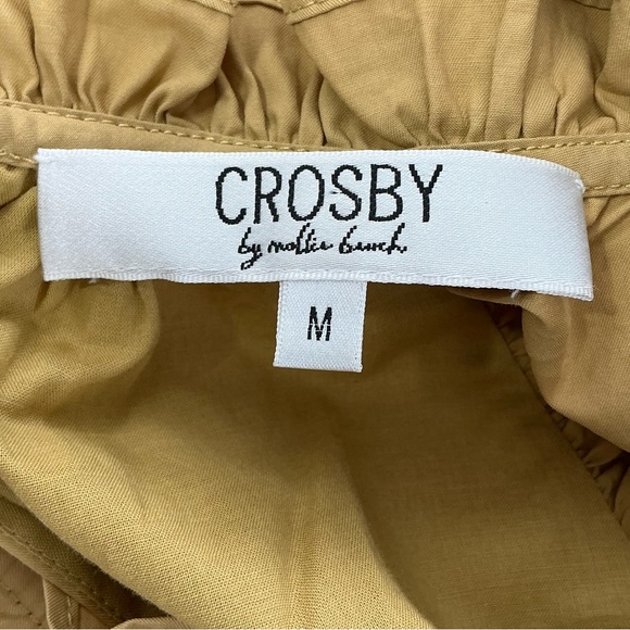 EUC CROSBY by Mollie Burch shine your bright dress - Picture 11 of 13